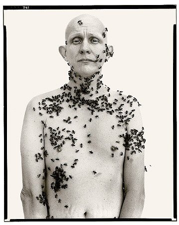 ������ ��������