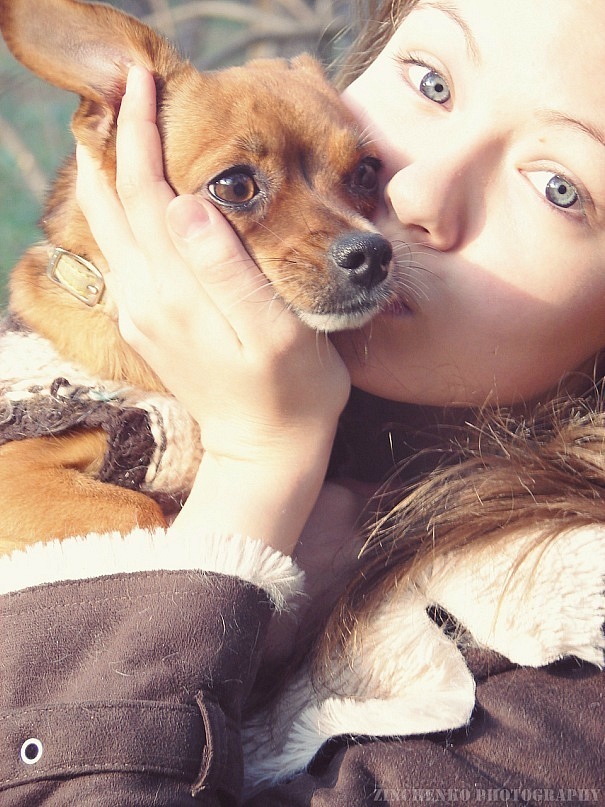 ������ ���������