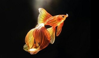 Наталия Кобилева 2