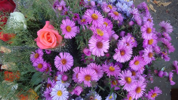 ����� ������������