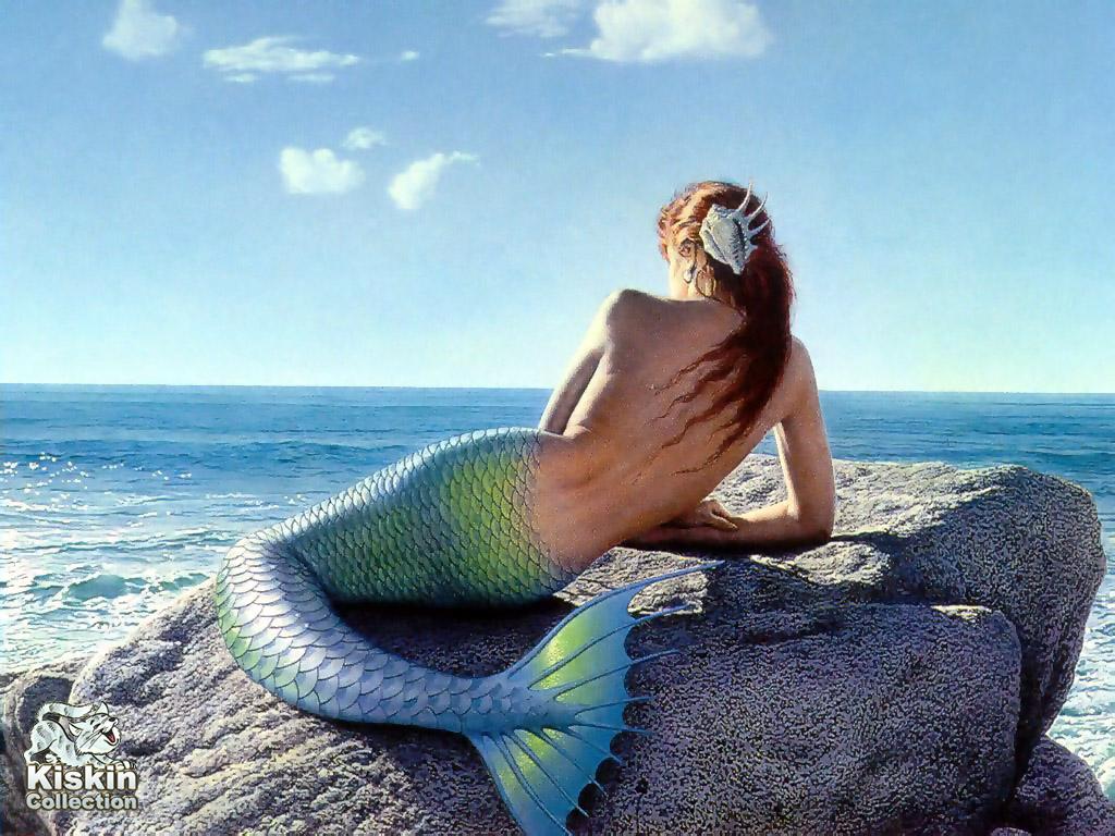 ��������� �������