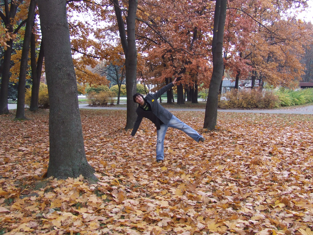 �������� ��������