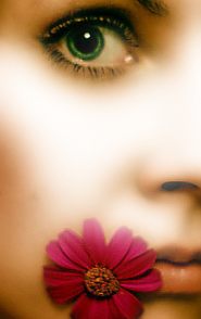 �������� ������